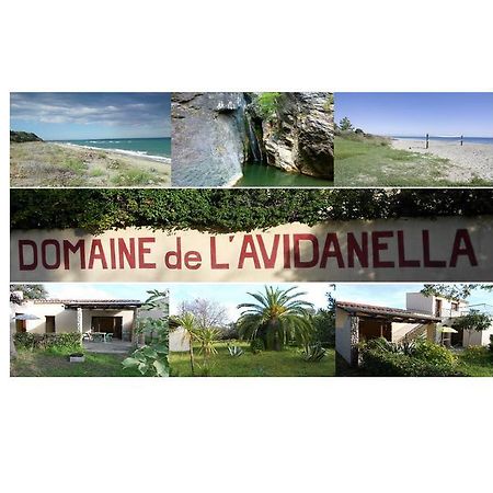Domaine De L'Avidanella Apartment Санта-Лусия-ди-Мориани Екстериор снимка