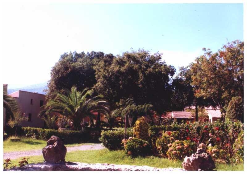 Domaine De L'Avidanella Apartment Санта-Лусия-ди-Мориани Екстериор снимка