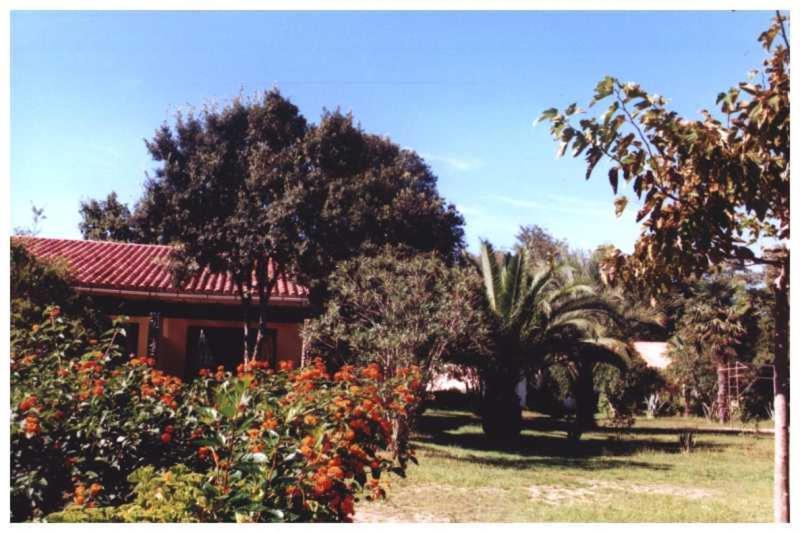 Domaine De L'Avidanella Apartment Санта-Лусия-ди-Мориани Екстериор снимка