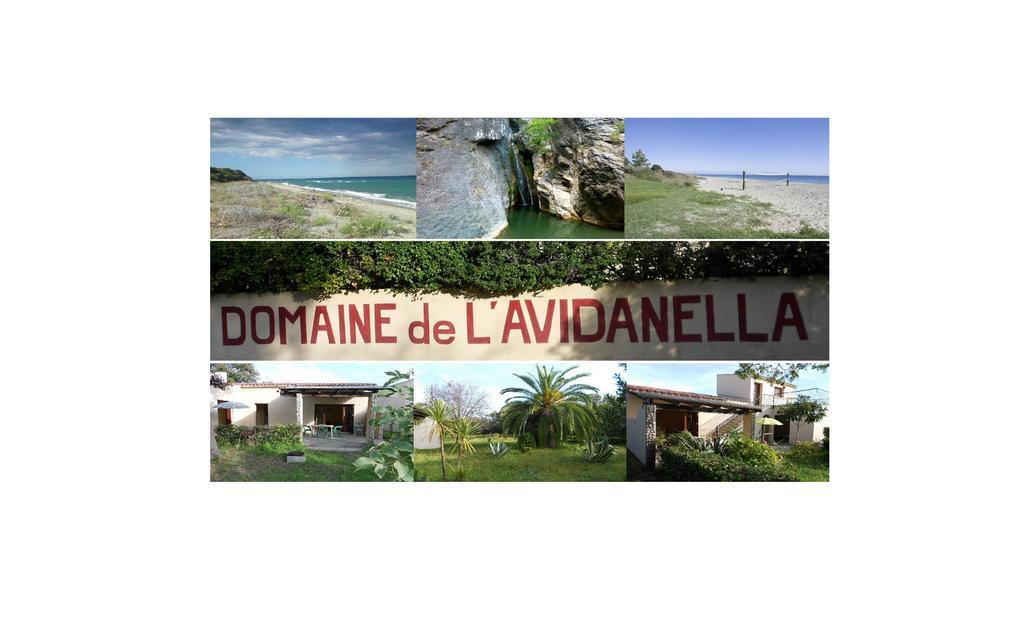 Domaine De L'Avidanella Apartment Санта-Лусия-ди-Мориани Екстериор снимка